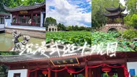 值得二刷的上海大观园，沉浸式体验红楼胜景，荷花满塘，诗情画意