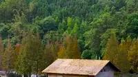 蒙山县长坪瑶族乡的水韵瑶寨按国家AAAA级标准建设的广西5星