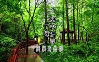 宁海森林温泉峡谷,3潭9瀑18溪,有万亩阔叶乔木遮天蔽日的天然氧谷