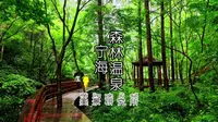 宁海森林温泉峡谷,3潭9瀑18溪,有万亩阔叶乔木遮天蔽日的天然氧谷