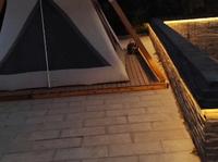 洛阳孟津  魏坡新序