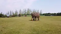 合肥最大的生态公园肥西官亭千亩林海风光一镜到底（二）