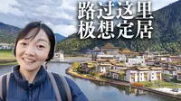 林芝鲁朗的美，让我不想离开