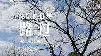 贵阳药用植物园
