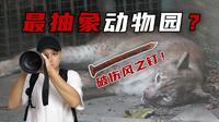 猞猁房间放铁钉？福州动物园震惊之旅！