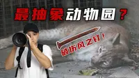 猞猁房间放铁钉？福州动物园震惊之旅！