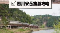 中国柠檬看四川，四川柠檬看安岳。安岳的【宝森柠檬旅游区】，作为国家4A级全国最大以柠檬为主题的景区，汇集了世界上25个品种的柠檬近上千亩种植基地。 #安岳石刻#