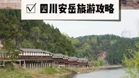 中国柠檬看四川，四川柠檬看安岳。安岳的【宝森柠檬旅游区】，作为国家4A级全国最大以柠檬为主题的景区，汇集了世界上25个品种的柠檬近上千亩种植基地。 #安岳石刻#
