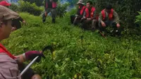 在外面培训发一期之前的墨脱山村日常