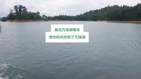 #河源市万绿湖：我在万绿湖等你。想你的风吹到了万绿湖。天上瑶池水，人间万绿湖。#万绿湖 #河源 #河源美食 #河源房产