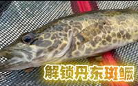 终于解锁了丹东水丰湖斑鳜
