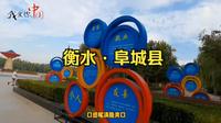 衡水阜城县，阜城湖如何从千顷洼变成最大城市名片
