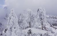 峨眉雷洞坪仙境 雪景