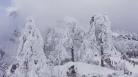 峨眉雷洞坪仙境 雪景