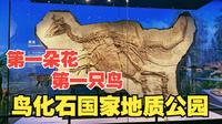 4K【辽宁朝阳鸟化石国家地质公园】探索侏罗纪世界，看远古化石，由龙到鸟的转变
