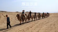 南昌市厚田沙漠