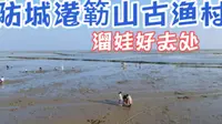 防城港簕山古渔村赶海拾贝，退潮后一片滩涂，沿海民宿价格怎样？