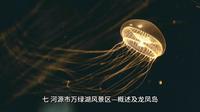 七、河源市万绿湖风景区—概述及龙凤岛
