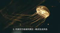 七、河源市万绿湖风景区—概述及龙凤岛