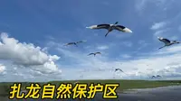 张三带你看鹤乡扎龙湿地——自然保护区