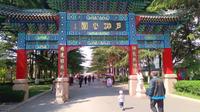 莱西月湖公园