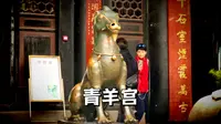 成都青羊宫里不但真的有青羊，还有唐太宗李世民与他的亲爹亲妈