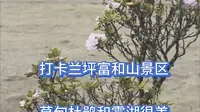 打卡兰坪富和山景区，草甸，杜鹃和雾湖很美