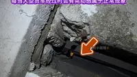 每次当有大型货车经过北盘江大桥时，大桥都会有晃动感，这是属于正常现象，请司机朋友们放心通行#北盘江大桥#贵州桥梁#旅行推荐官 #贵州#现场实拍