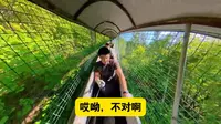 黄花溪-下山滑道