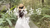 旅行VLOG/西双版纳普洱小熊猫庄园之旅森林木屋夜观昆虫触摸犀牛触摸小熊猫（下篇）