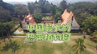 【航怕】中国最大的热带植物园——中科院西双版纳热带植物园