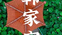 淄博雨后，从另一个角度来看看周村韩家窝的荷塘