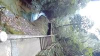 武义牛头山景区