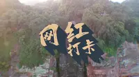 《网红打卡》 洪椿坪-136期