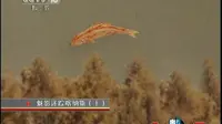 魅影迷踪喀纳斯-[新疆喀纳斯湖水怪]