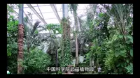 中国科学院武汉植物园