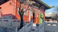 山西纯阳宫有多牛？竟把唐代碑露天放走廊里，裸展给往来游客观赏|太原纯阳宫