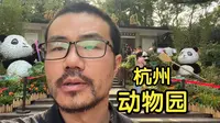 【徐静雨】探访杭州动物园，为你揭开动物们的隐秘世界！