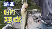 兄弟们，更新了，今天去成都邛崃的竹溪湖船钓。路亚翘嘴