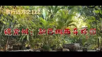 歌行远方之122：德宏州：勐巴娜西奇珍园