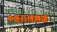 安国的中医药文化博物馆，竟然这么有意思