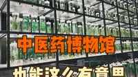 安国的中医药文化博物馆，竟然这么有意思
