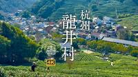 穿越10个世纪的茶叶种植🍃山谷中村民的日常🏘杭州著名山区徒步路线⛰中国名茶之一🍵龙井村