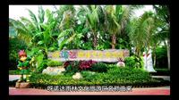 呀诺达雨林文化旅游区名称由来