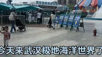 武汉极地海洋世界一日游