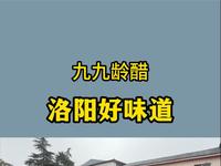 九九龄醋，洛阳好味道-九九封坛、祭祖大典