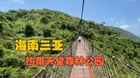三亚亚龙湾热带天堂森林公园，应该怎么逛？这个视频告诉你