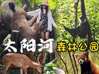 普洱vlog｜5分钟带你玩转太阳河森林公园