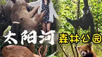 普洱vlog｜5分钟带你玩转太阳河森林公园