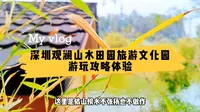 深圳观澜山水田园，一座现代都市人的世外桃源，现实是否真的如此
